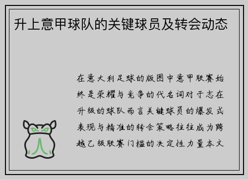 升上意甲球队的关键球员及转会动态